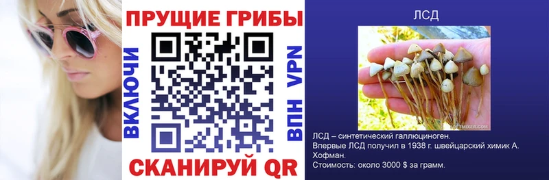 Купить закладки  Нальчик  Галлюциногенные грибы MAGIC MUSHROOMS 